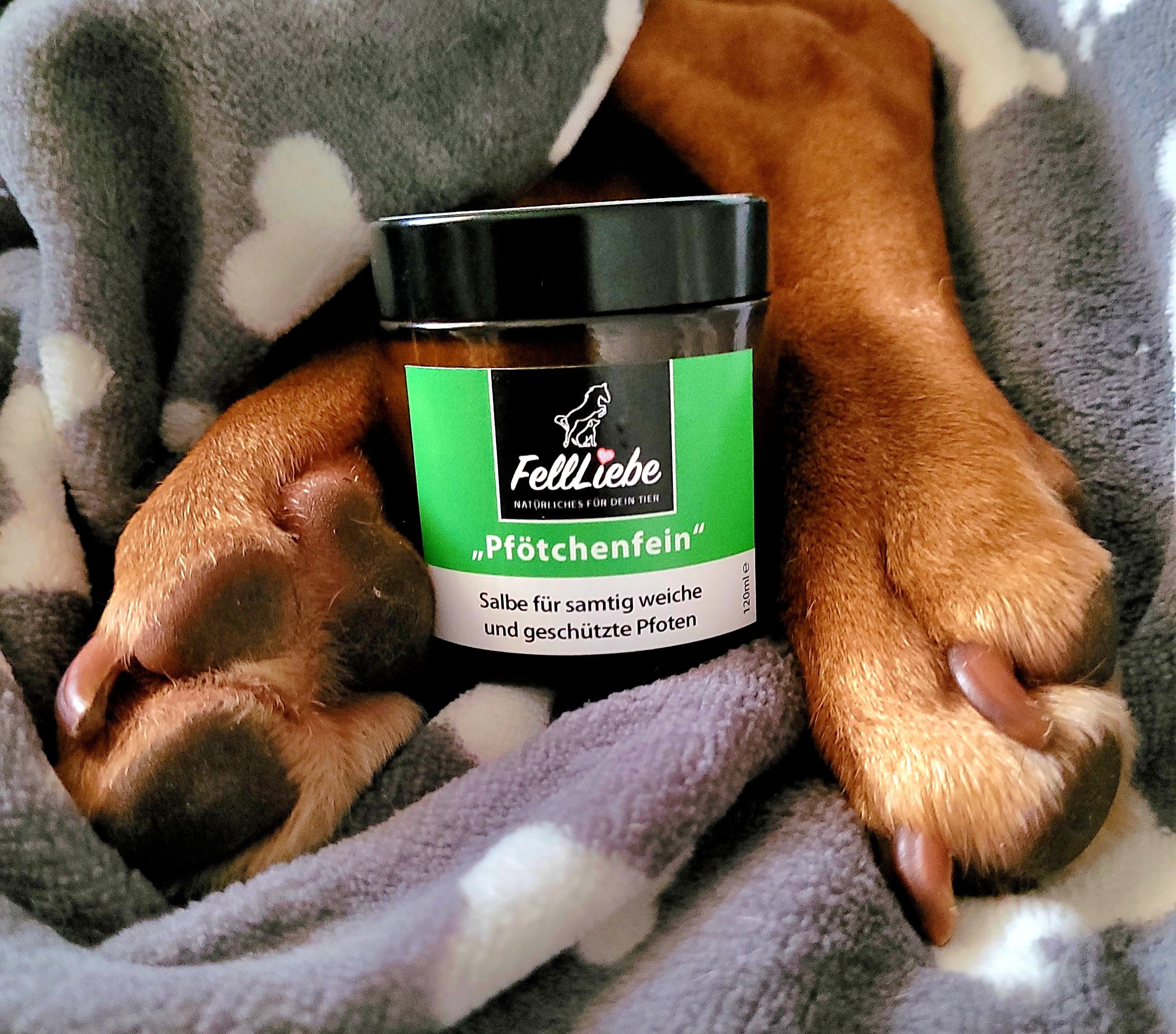 "Pfötchenfein" Schutz und Pflege der Pfoten (Art.-Nr. 022)
