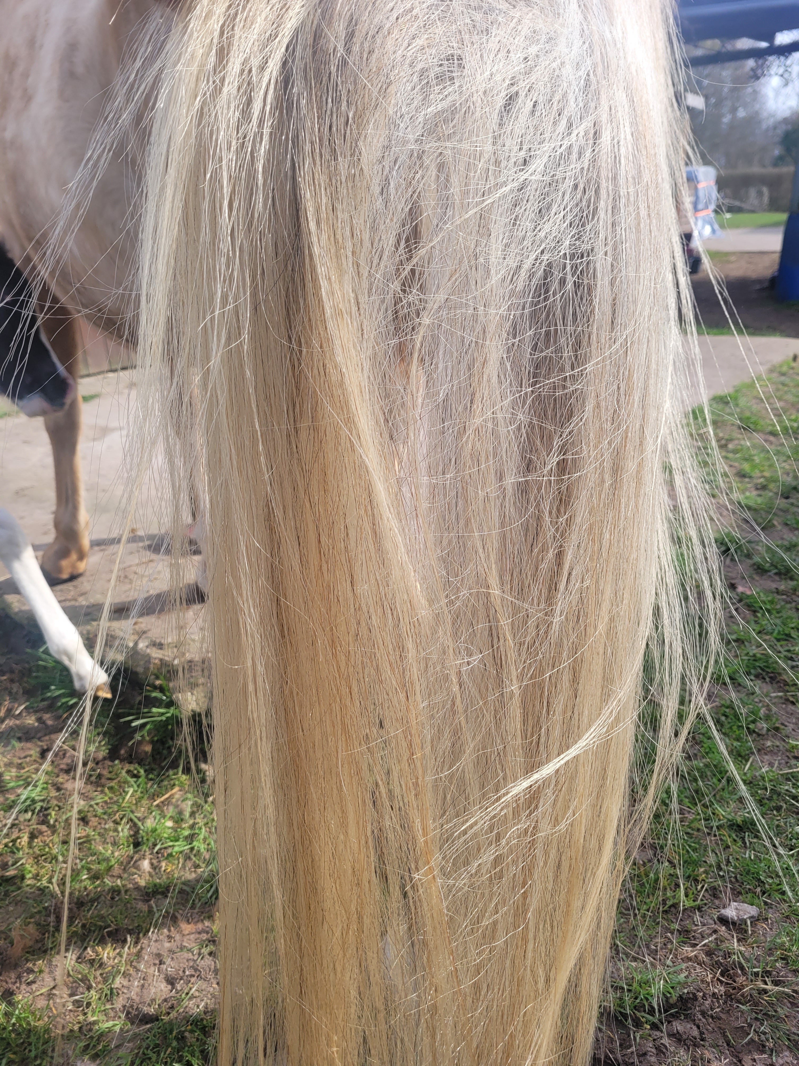 "Blitzeblank"(Art.-Nr. 023)