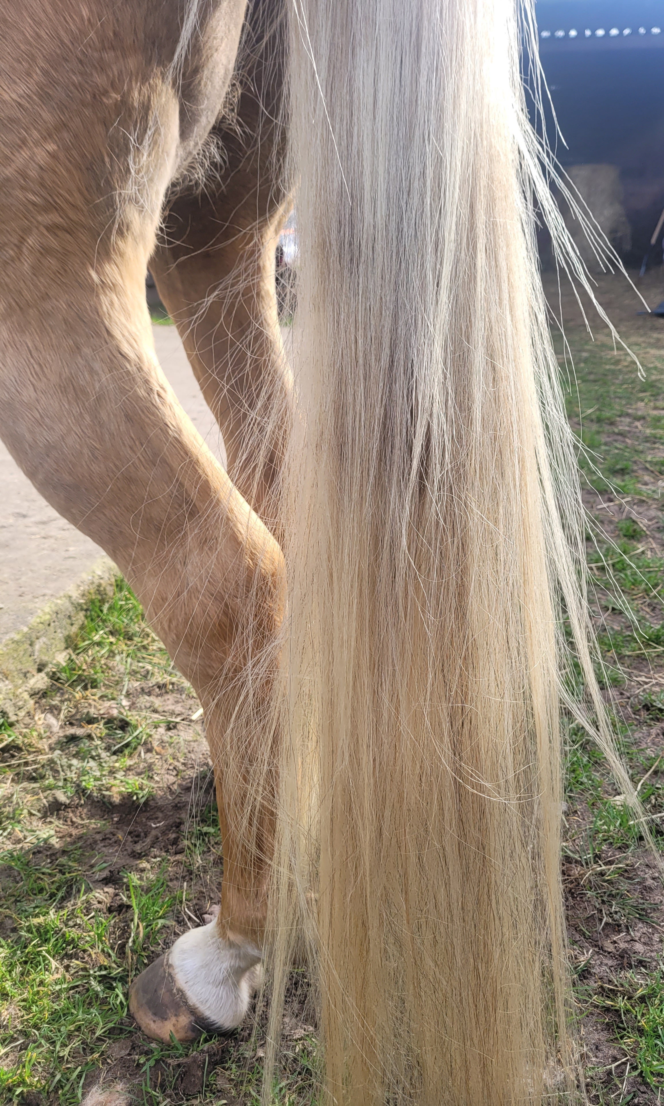 "Blitzeblank"(Art.-Nr. 023)