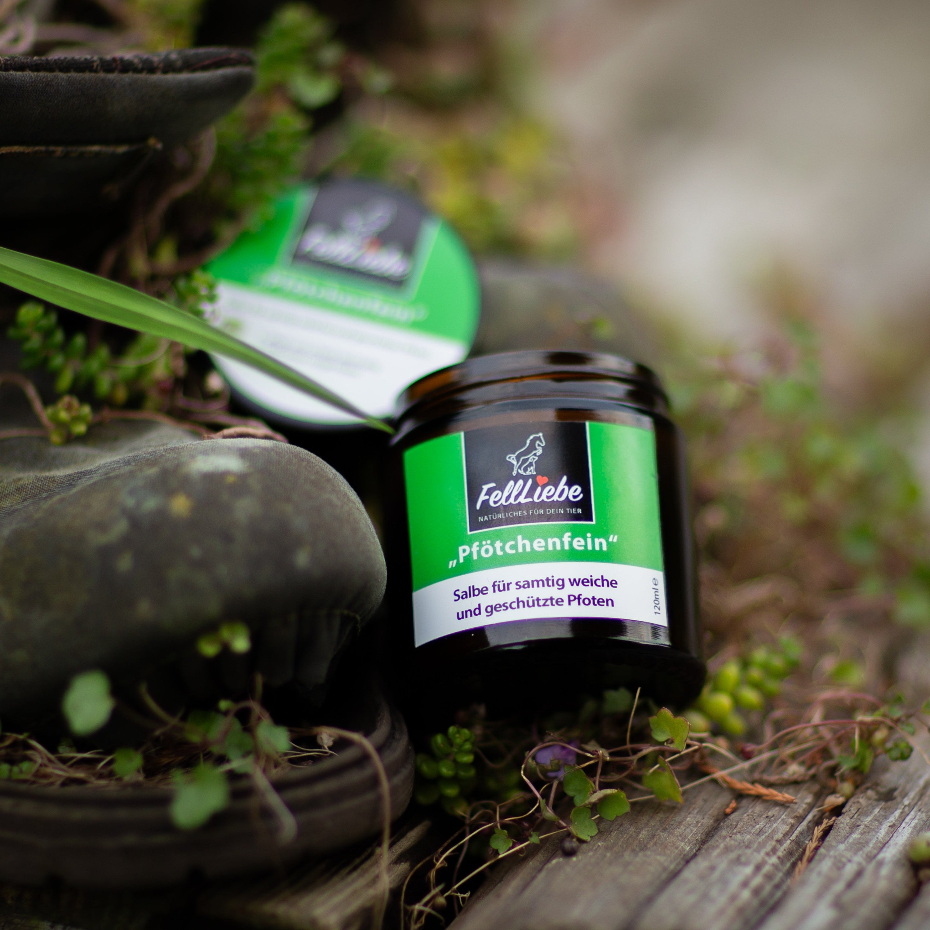 "Pfötchenfein" Schutz und Pflege der Pfoten (Art.-Nr. 022)
