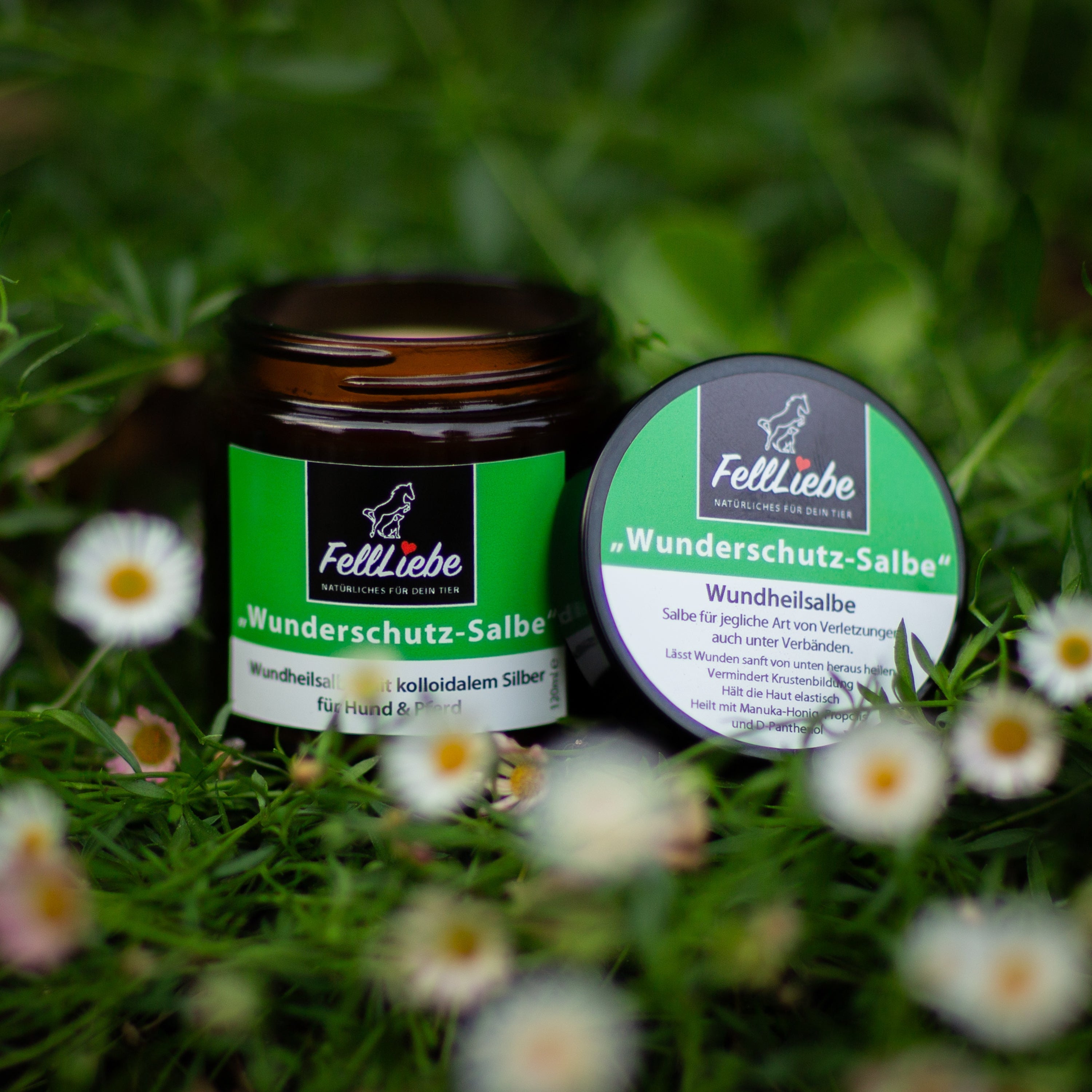 "Wunderschutz" Salbe für Verletzungen jeglicher Art (Art.-Nr. 009)