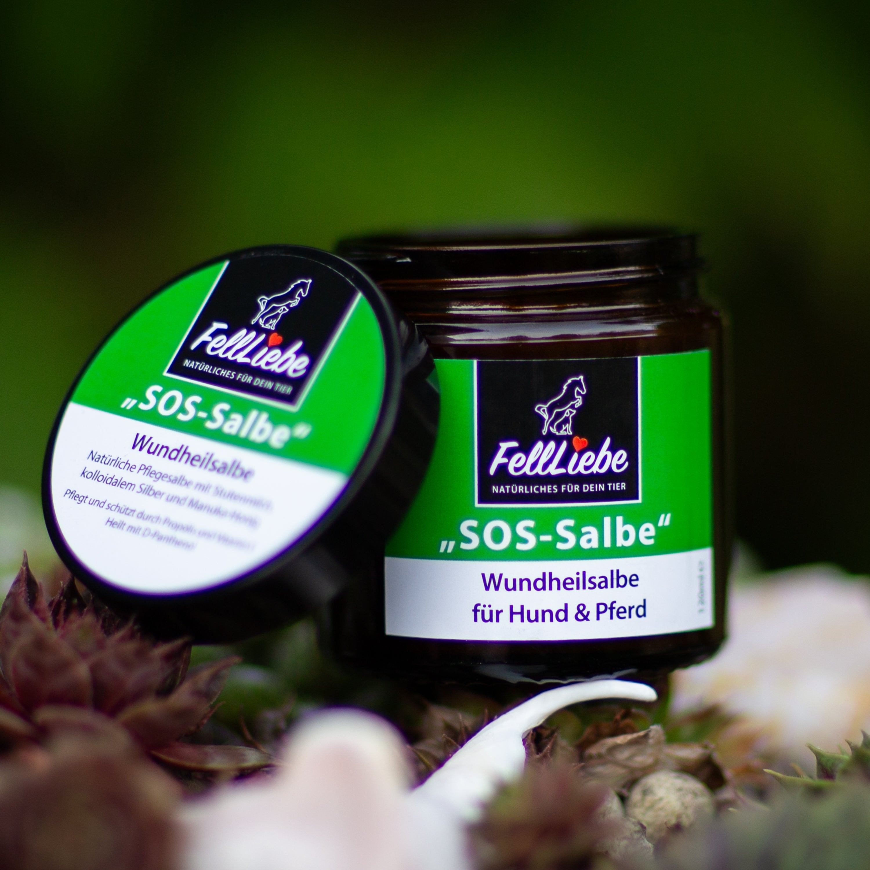 "SOS-Salbe" Wundschutzsalbe mit kolloidalem Silber und Stutenmilch (Art.-Nr. 017)