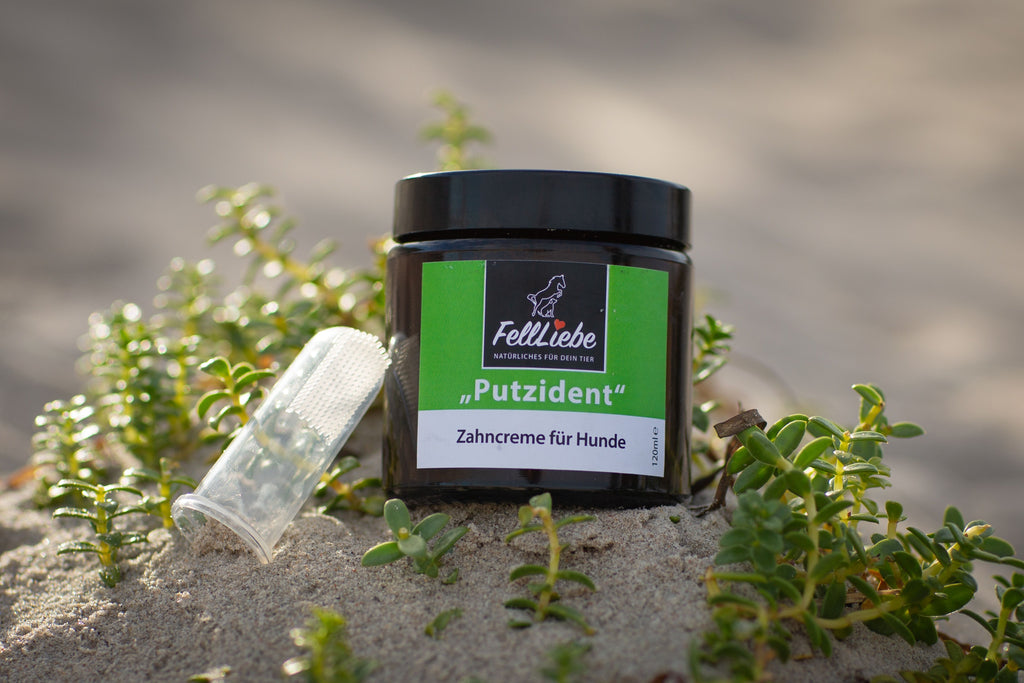 "Putzident" Zahncreme für Hunde Art.-Nr. 026
