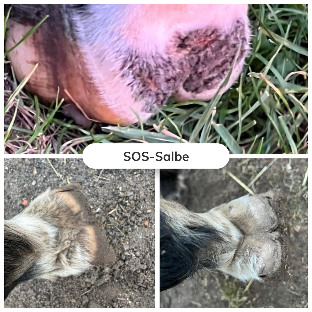 SOS-Set gegen Mauke- und Ekzemset für Hunde und Pferde (Art.-Nr. 028)