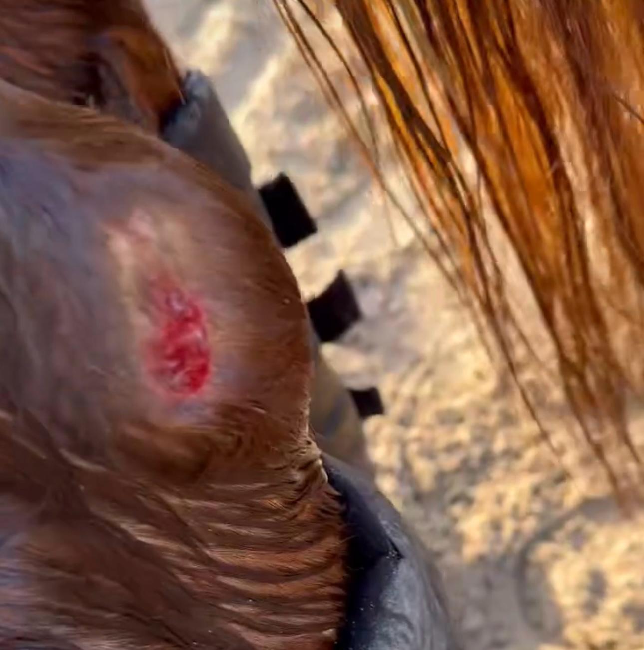 Erste-Hilfe-Set bei Wunden (Art.-Nr. 030)