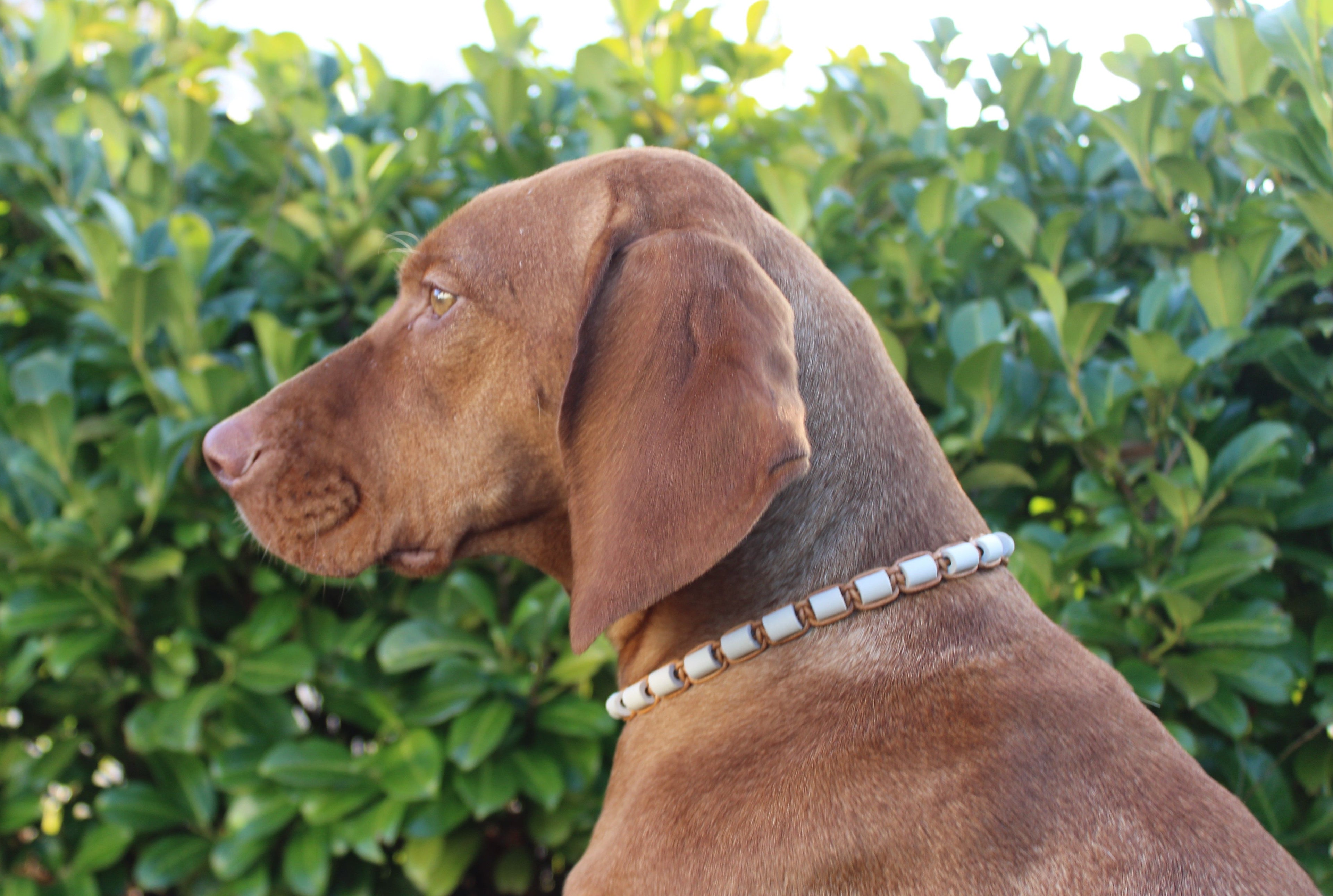 EM-Keramik (Art.-Nr. 008)