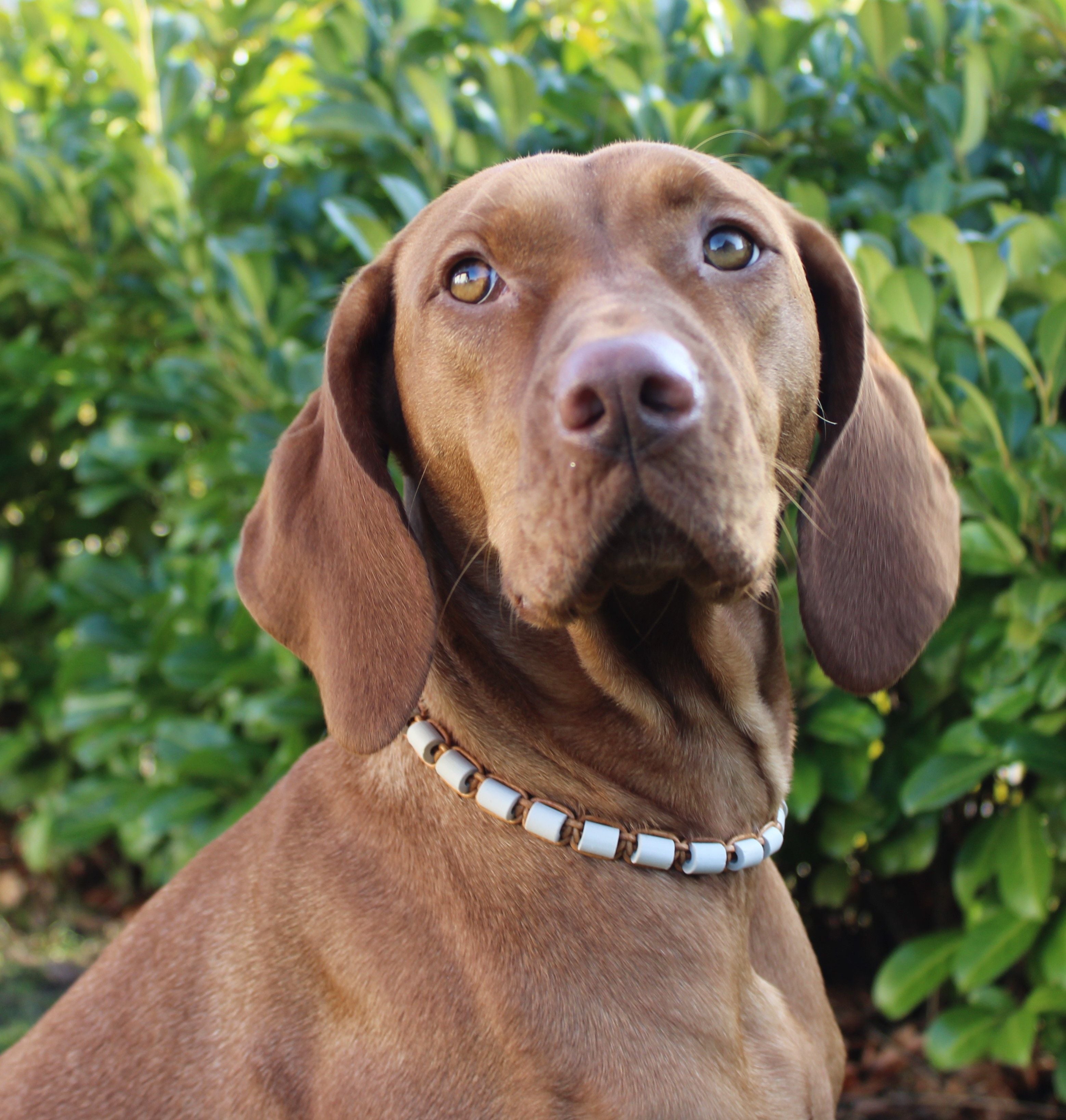 EM-Keramik (Art.-Nr. 008)