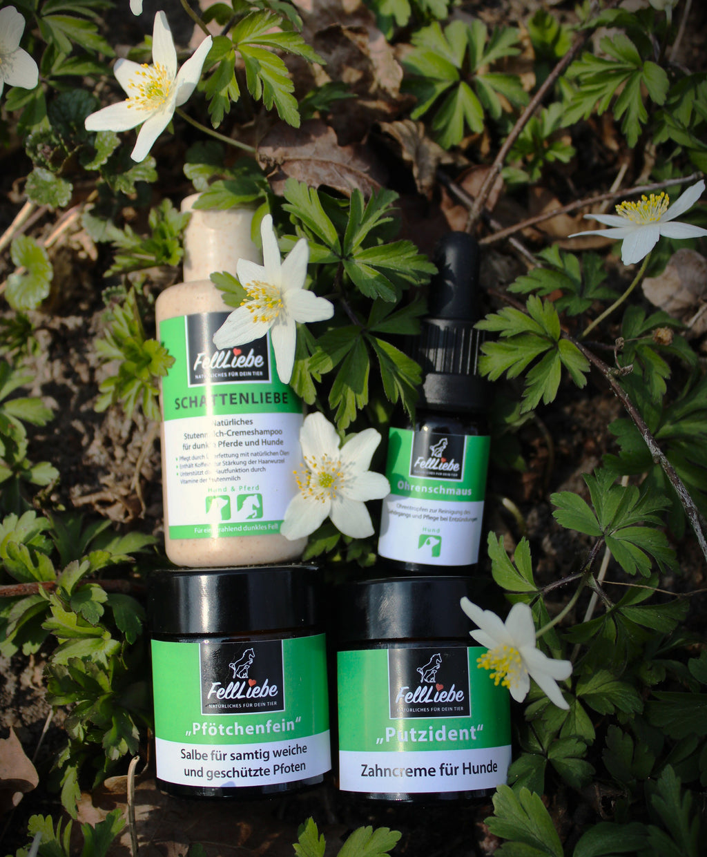 Pflegeset, Probiergrößen, Züchterset %, für Hunde/Welpen (Art.-Nr. 0031)