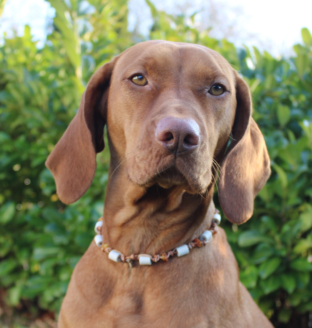 EM Keramik mit Bernstein (Art.-Nr. 013)