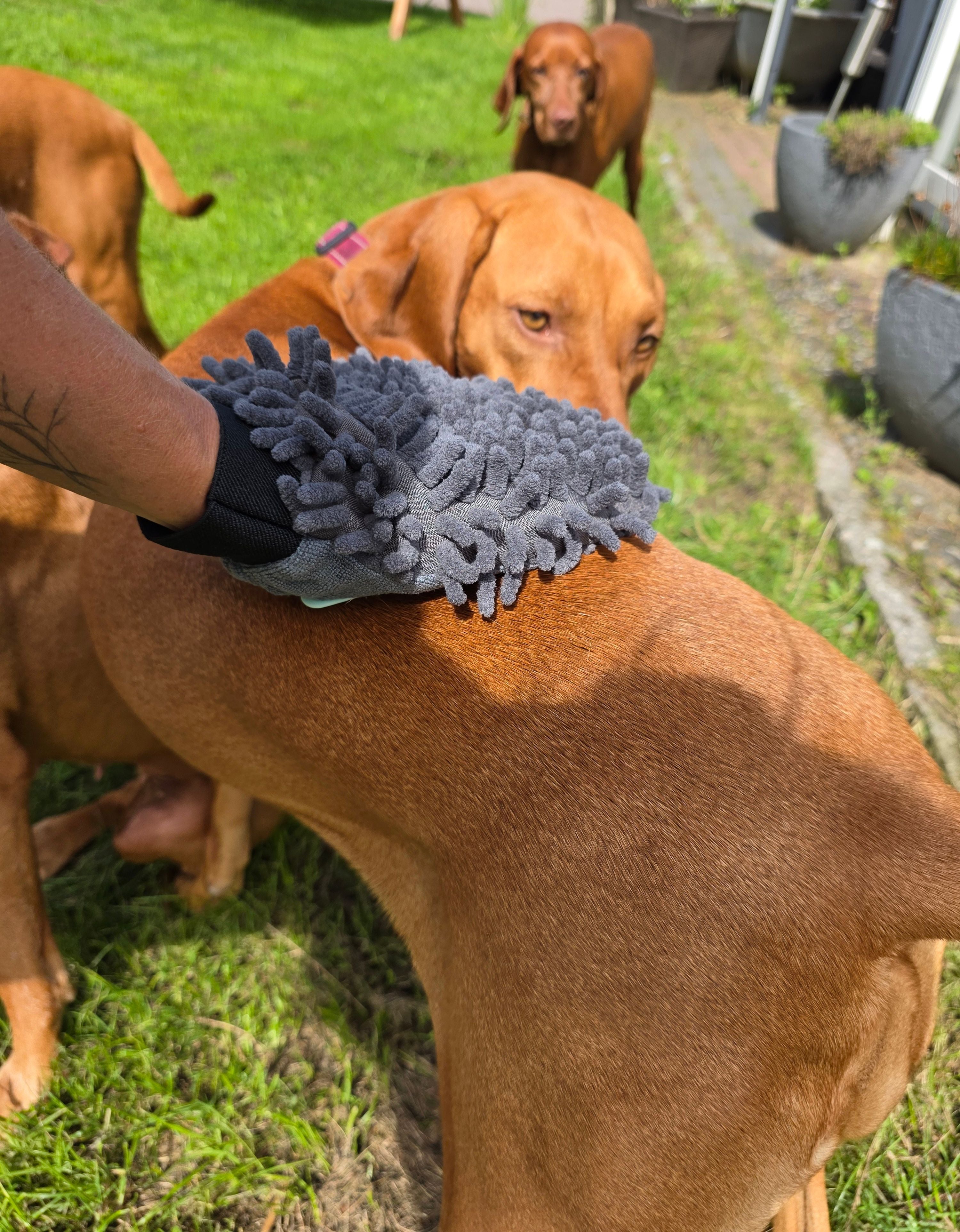 Fellpflegehandschuh (Art.-Nr. 029)