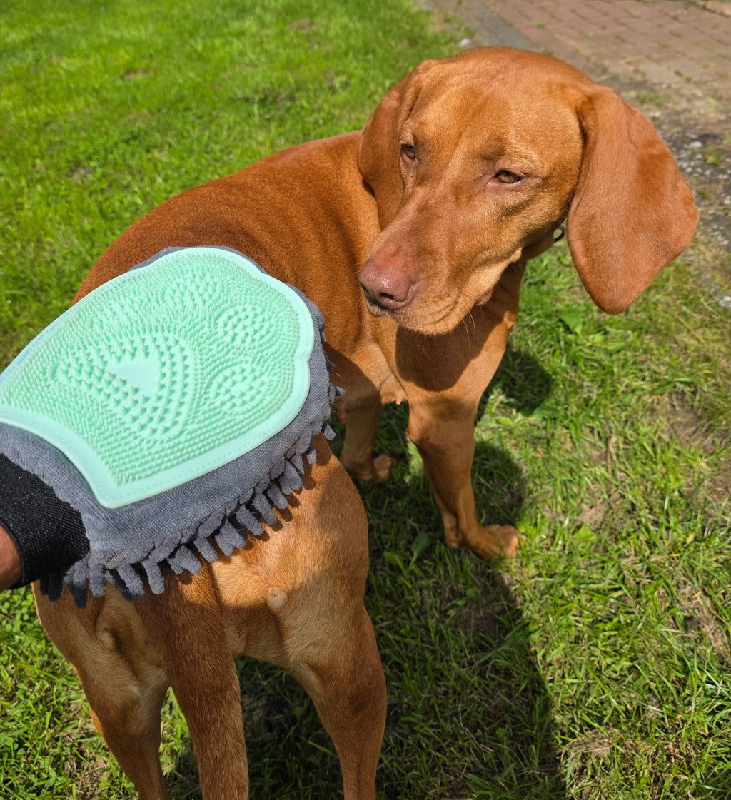 Fellpflegehandschuh (Art.-Nr. 029)