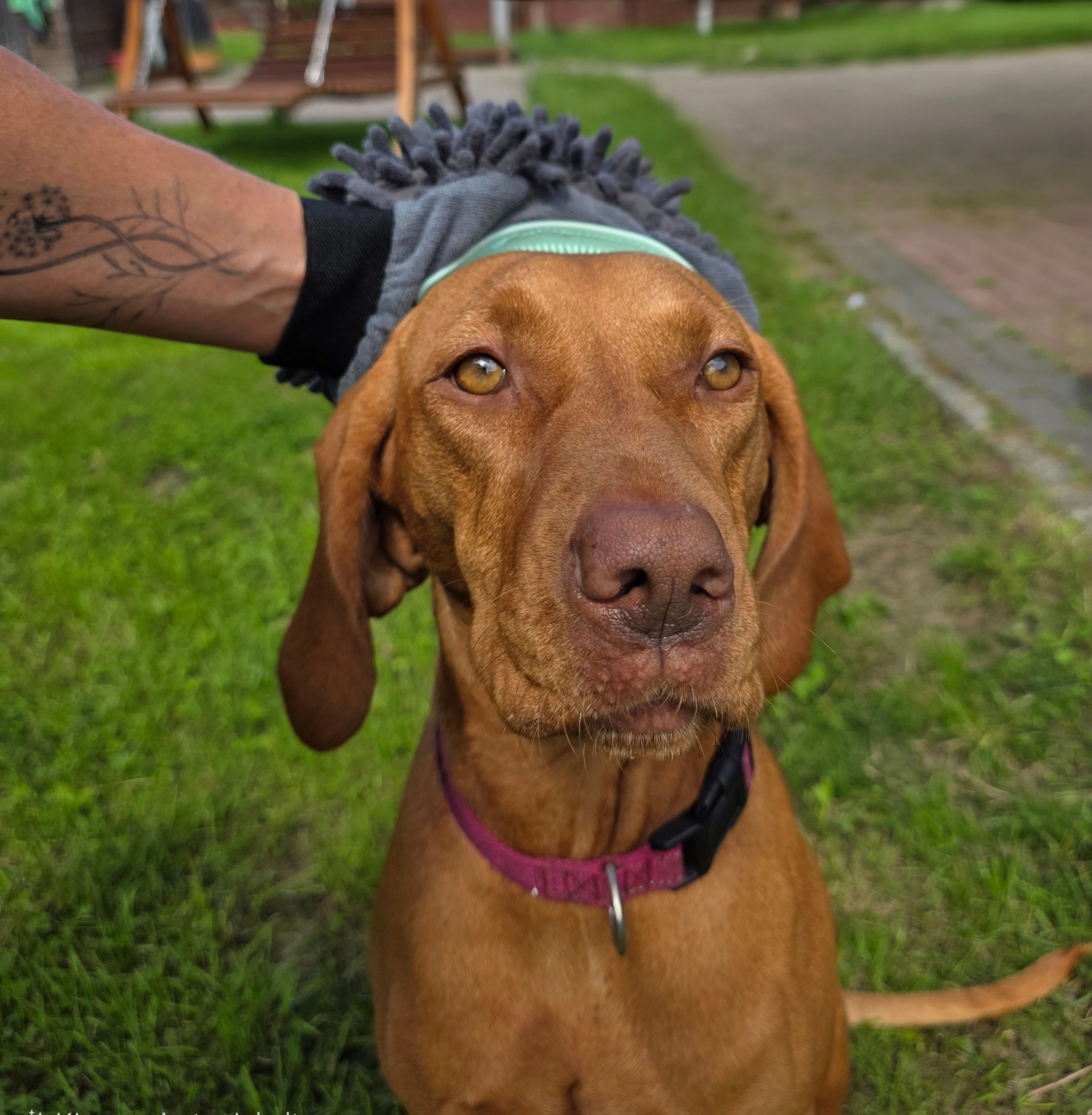 Fellpflegehandschuh (Art.-Nr. 029)