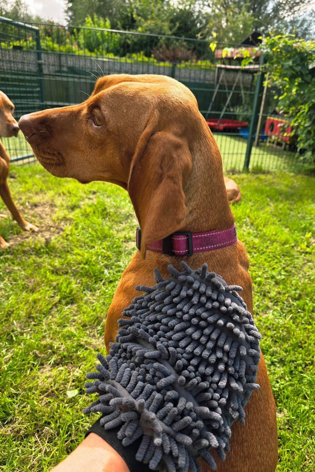 Fellpflegehandschuh (Art.-Nr. 029)