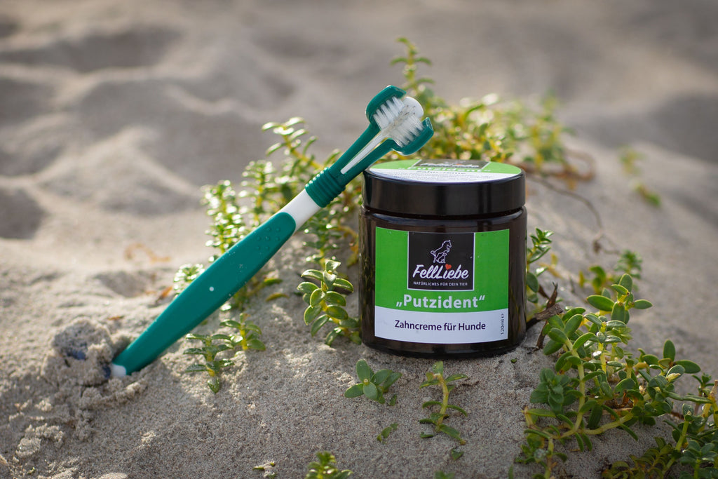 Pflegeset für Hunde (auch Welpen) (Art.-Nr. 032)