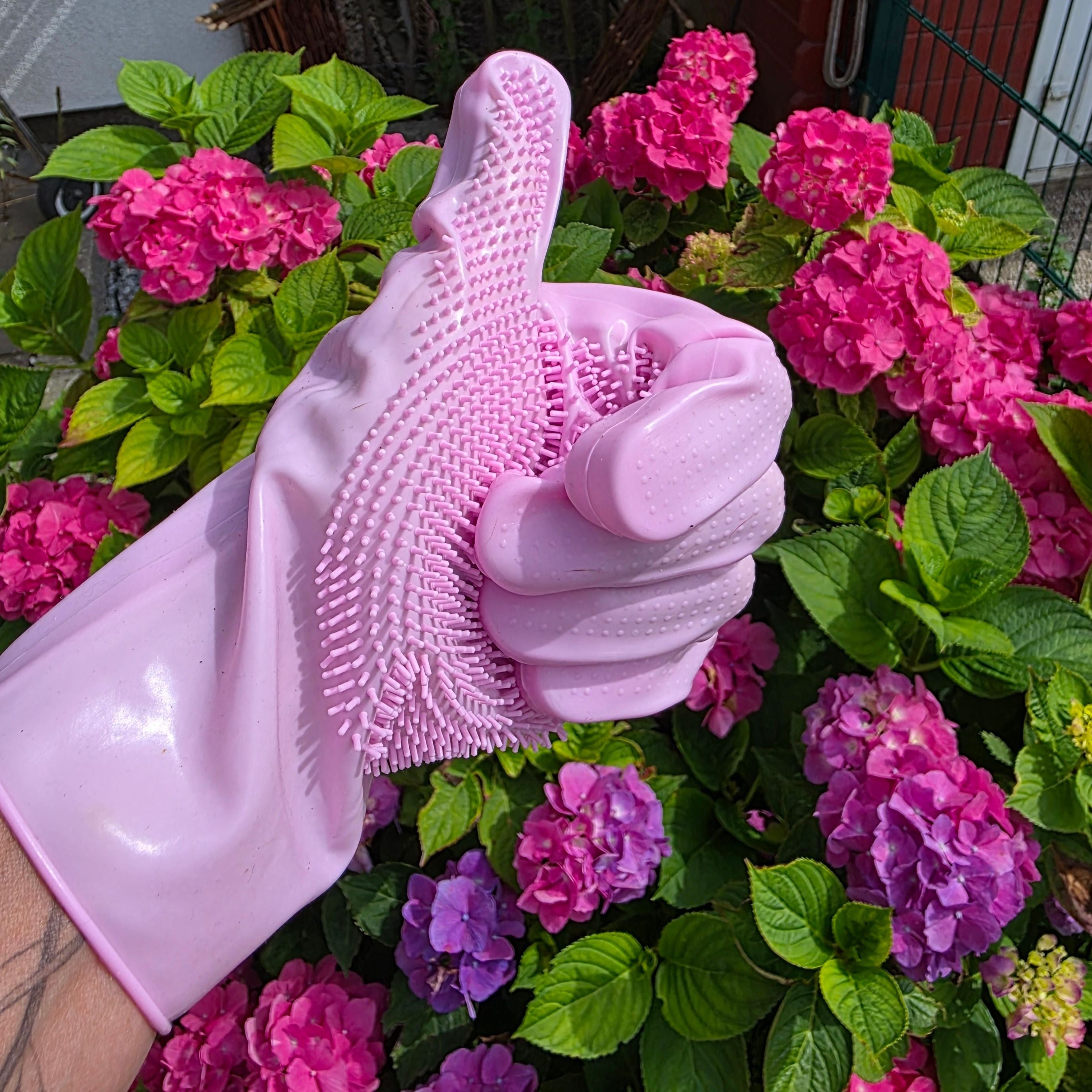 Waschhandschuh für Hunde (Art.-Nr. 033)