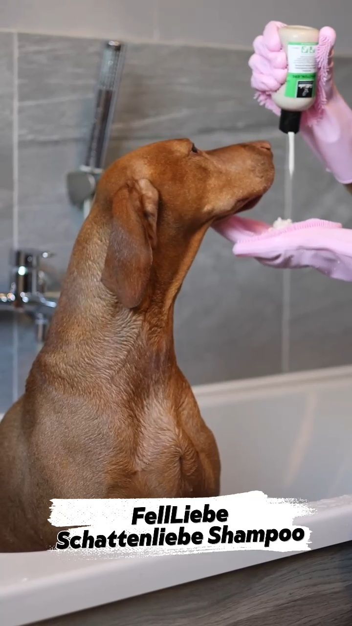 Waschhandschuh für Hunde (Art.-Nr. 033)